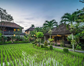 Bliss Ubud Spa Resort